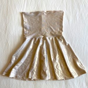 American Apparel Strapless Skater Dress